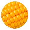 clicca